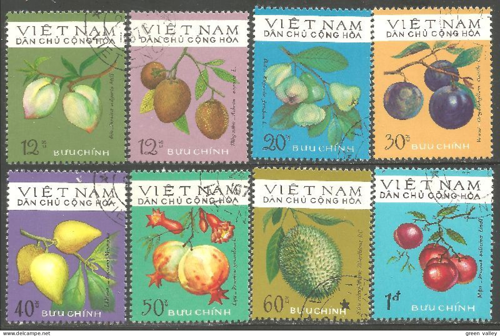 930 Vietnam Fruit Prune Plum Kiwi (VIE-358) - Vietnam