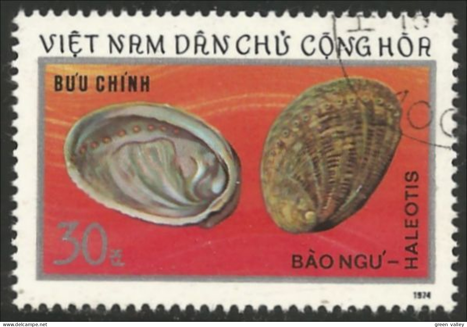 930 Vietnam Coquillage Shell Ormeau Abalone (VIE-152) - Schelpen