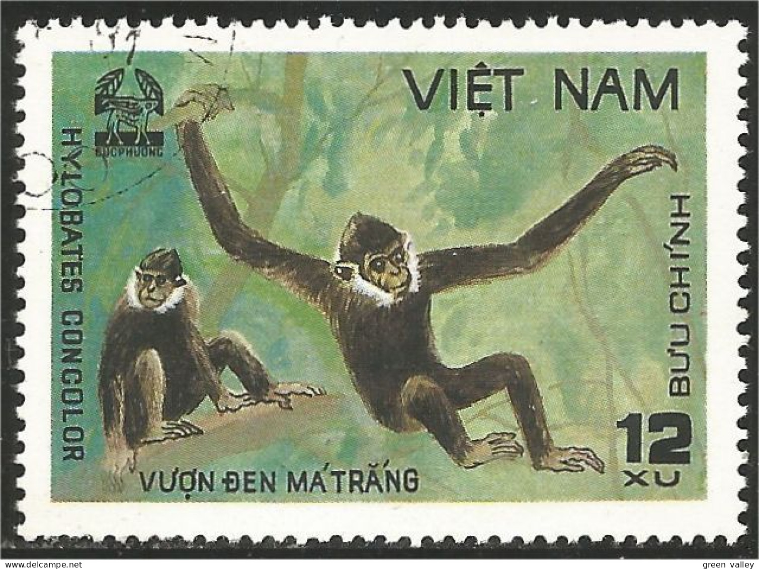 930 Vietnam Singes Apes Monkeys (VIE-132) - Monkeys