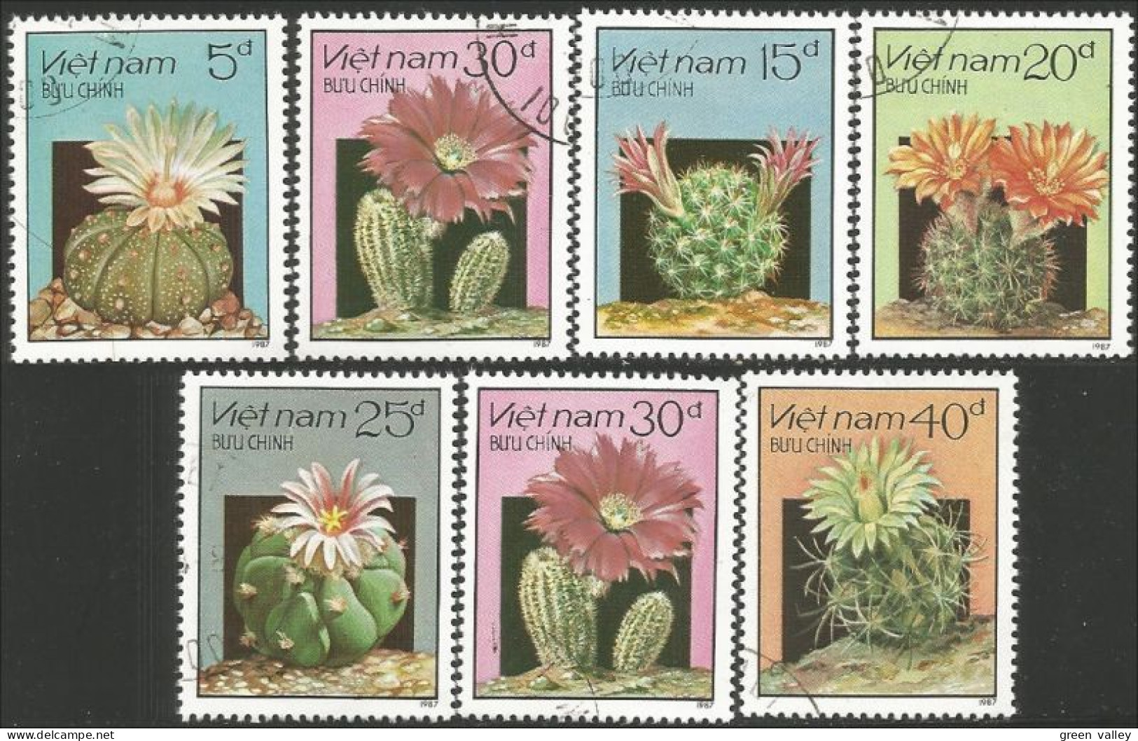 930 Vietnam Fleurs Cactus Cactii Flowers (VIE-96) - Sukkulenten