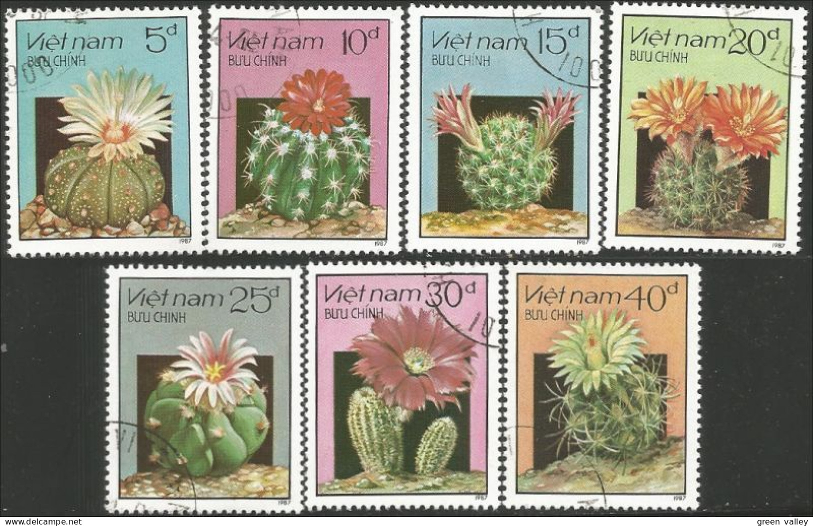 930 Vietnam Fleurs Cactus Cactii Flowers (VIE-95) - Cactusses