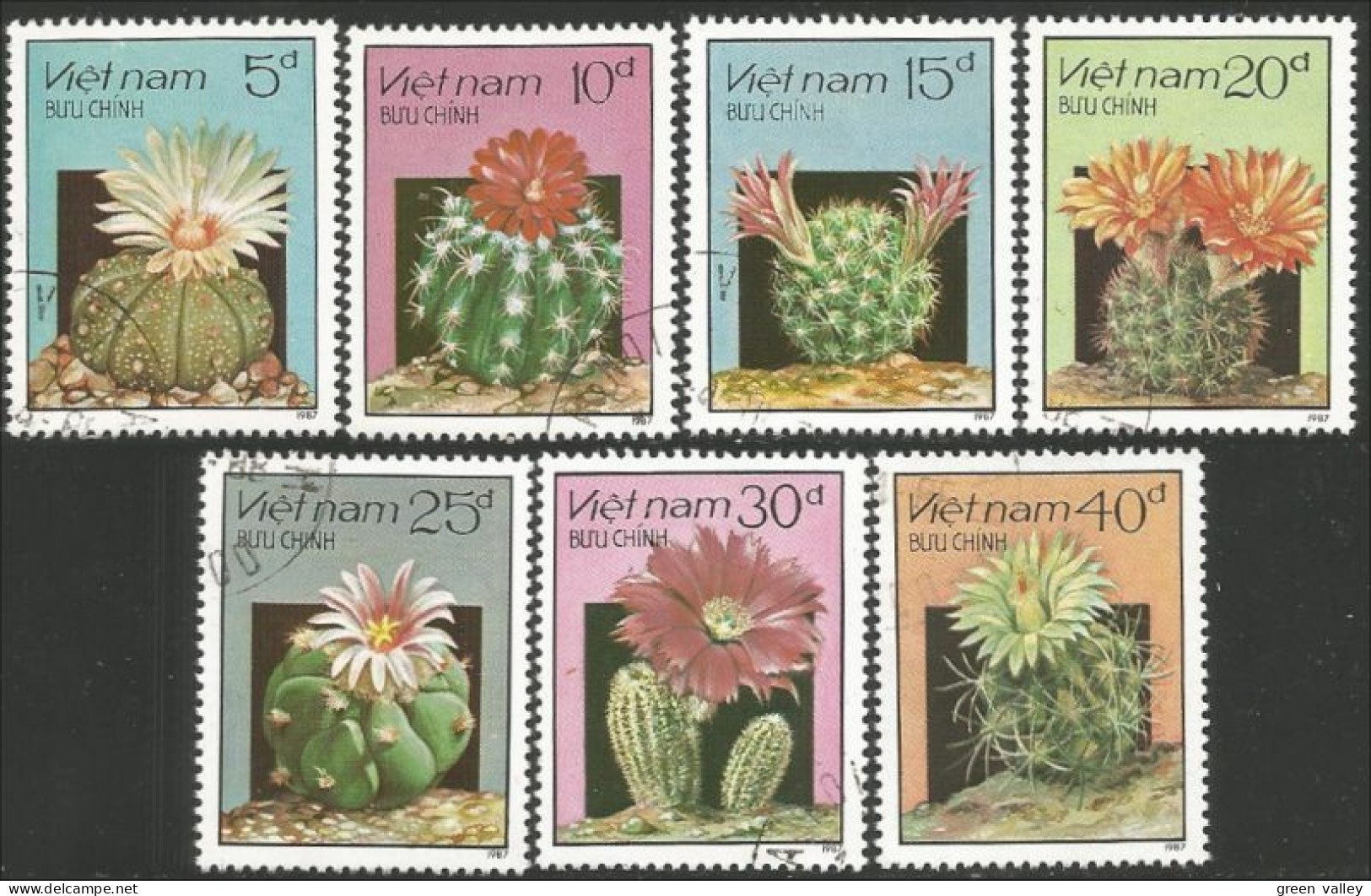 930 Vietnam Fleurs Cactus Cactii Flowers (VIE-94) - Sukkulenten