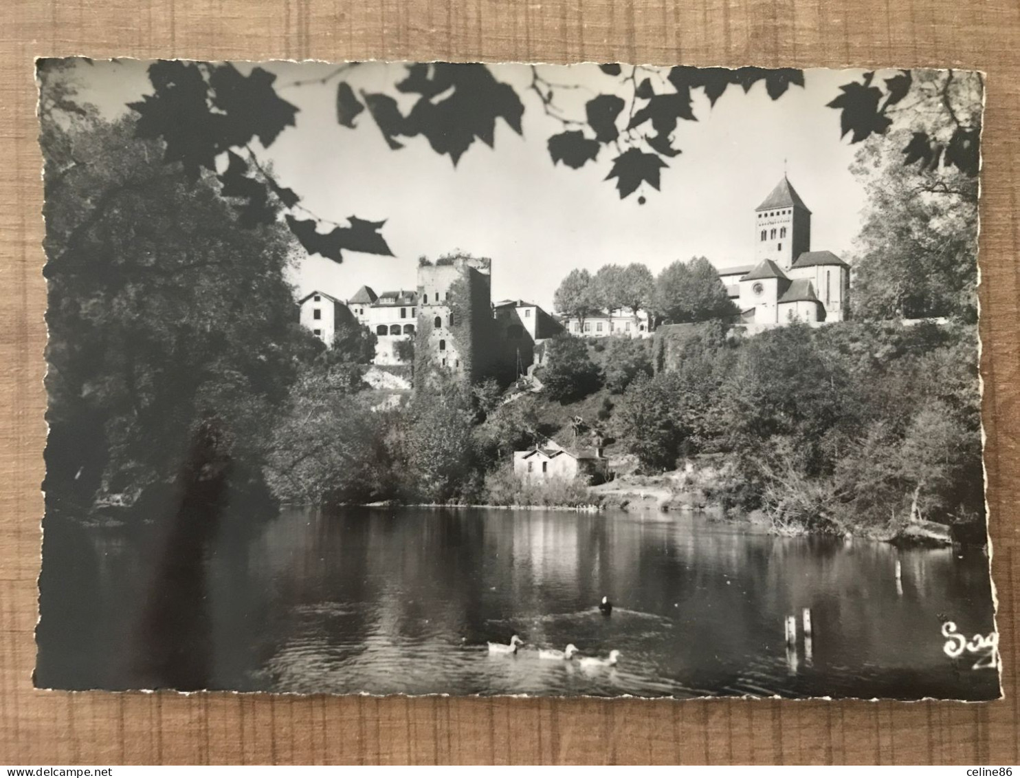 SAUVETERRE DE BEARN Sur Les Bords Du Gave - Sauveterre De Bearn