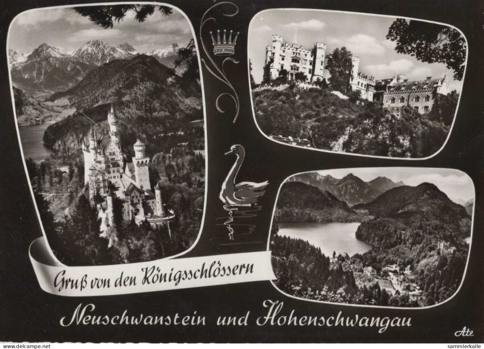 123505 - Neuschwanstein (OT Von Schwangau) - Hohenschwangau - Fuessen