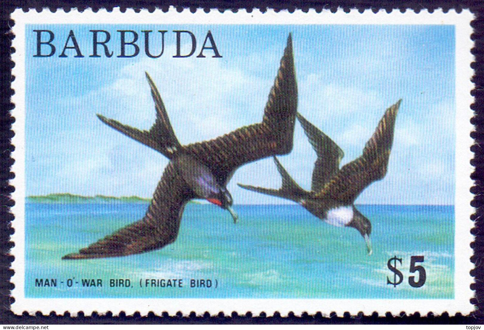 BARBUDA - BIRD  WAR  BIRD - FRIGATE BIRD - **MNH - 1974 - Marine Web-footed Birds