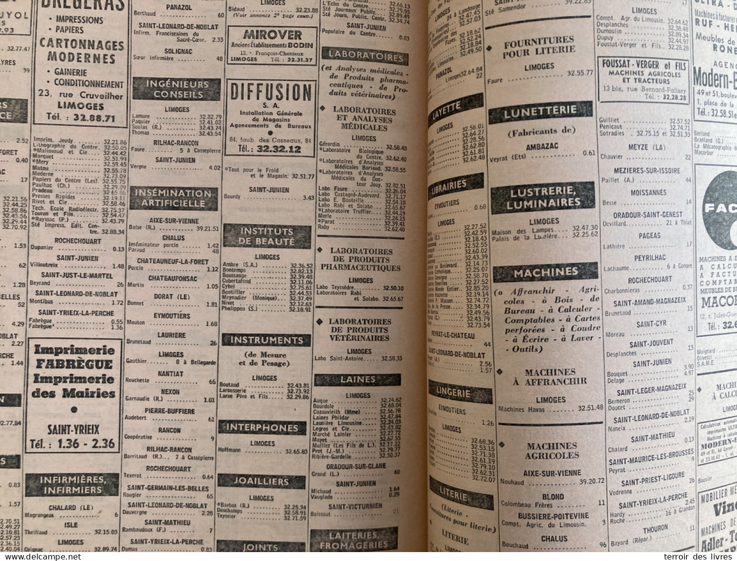 ANNUAIRE TELEPHONIQUE PTT HAUTE VIENNE 87 - 1964 Liste Particuliers Et Professionnels - Très Bon état D'usage - Poitou-Charentes