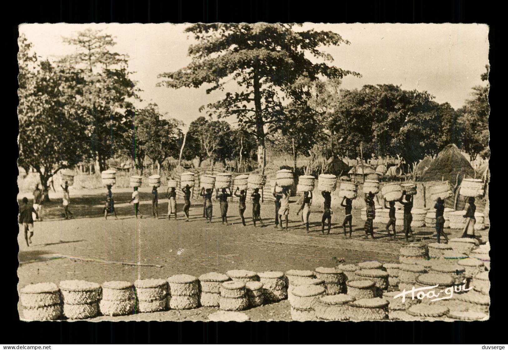 Tchad Recolte Du Coton Et Danses Apres La Recolte (2 Cartes Postales ) Format 9cm X 14cm  Voir 4 Scans - Mont Saint Aignan