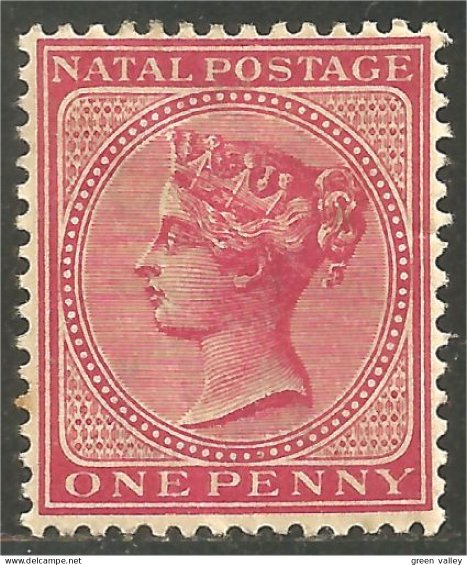 XW03-0037 Natal Reine Queen Victoria One Penny Rose MH * Neuf - Natal (1857-1909)