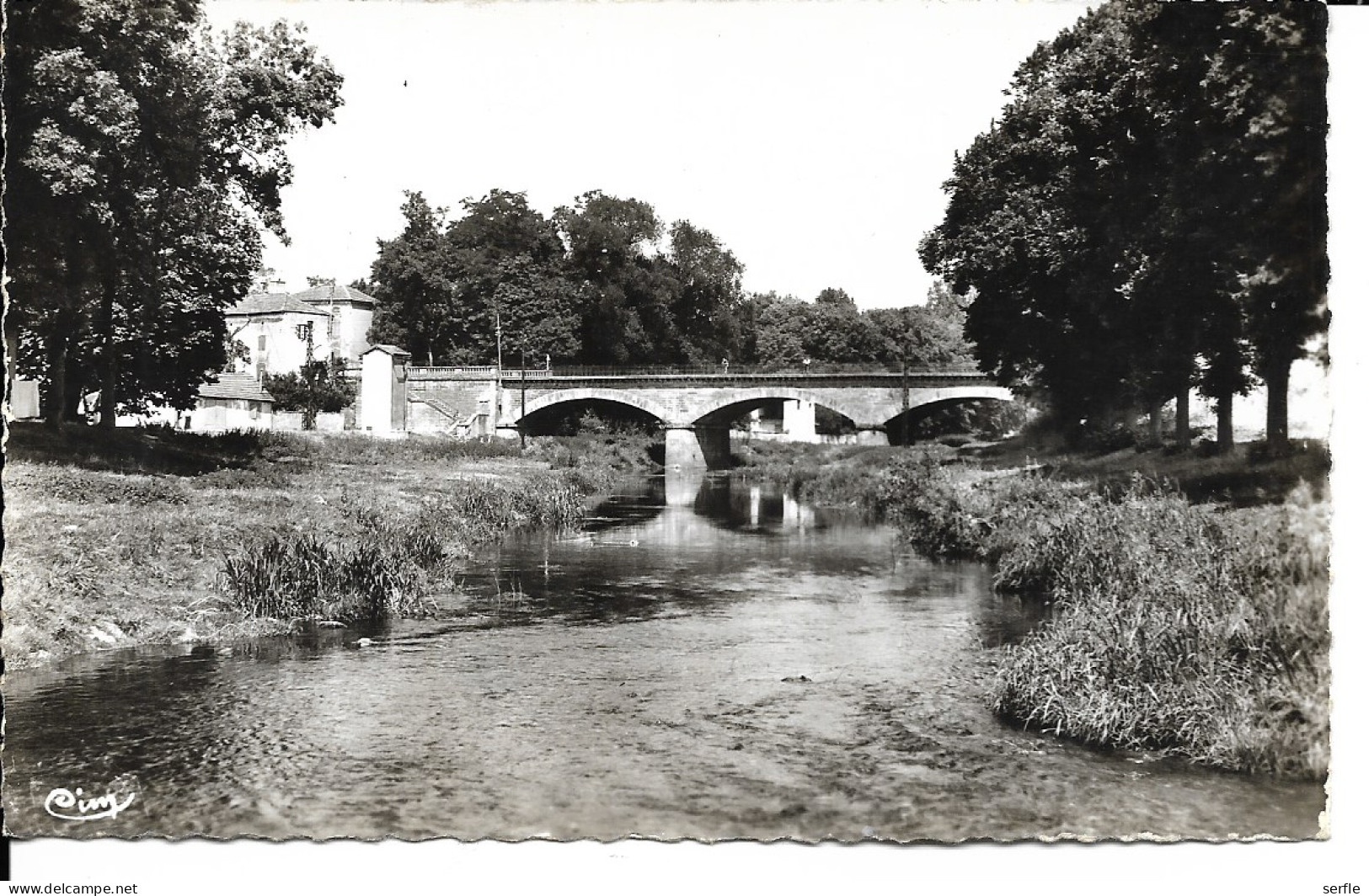 88 - Mirecourt - Le Pont Neuf Et Le Madon - Mirecourt
