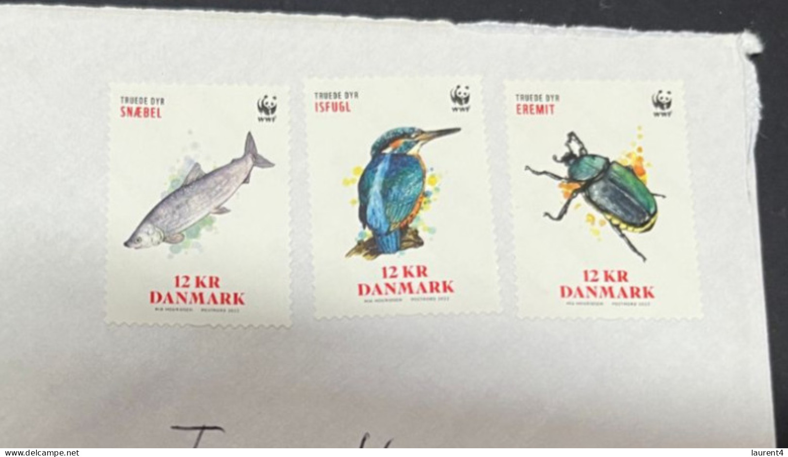 4-4-2024 (1 Z 3 A) Letter Posted From Denmark To Australia (Sydney) With 3 WWF Stamps 2022 Issue (no Postmark) - Lettres & Documents