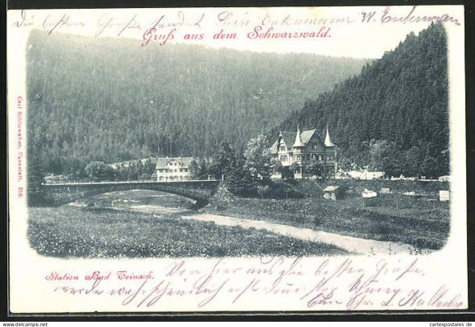 AK Bad Teinach, Station, Ortsansicht  - Bad Teinach