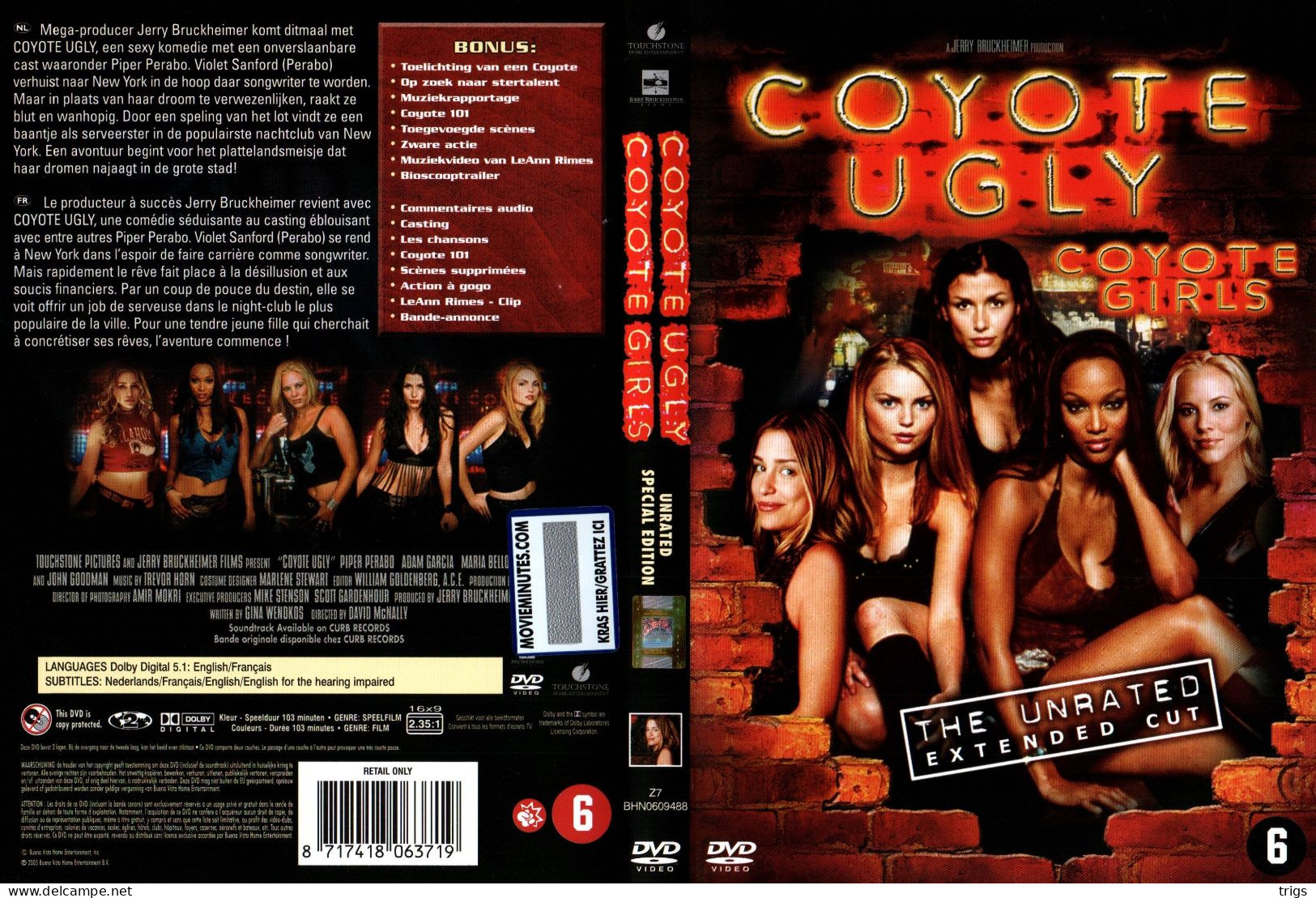 DVD - Coyote Ugly - Drama