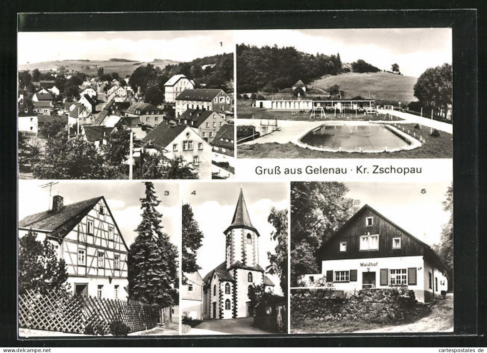 AK Gelenau, Ortsansicht, Freibad, Fachwerkhaus, Kirche, Ausflugsgaststätte Waldhof  - Gelenau