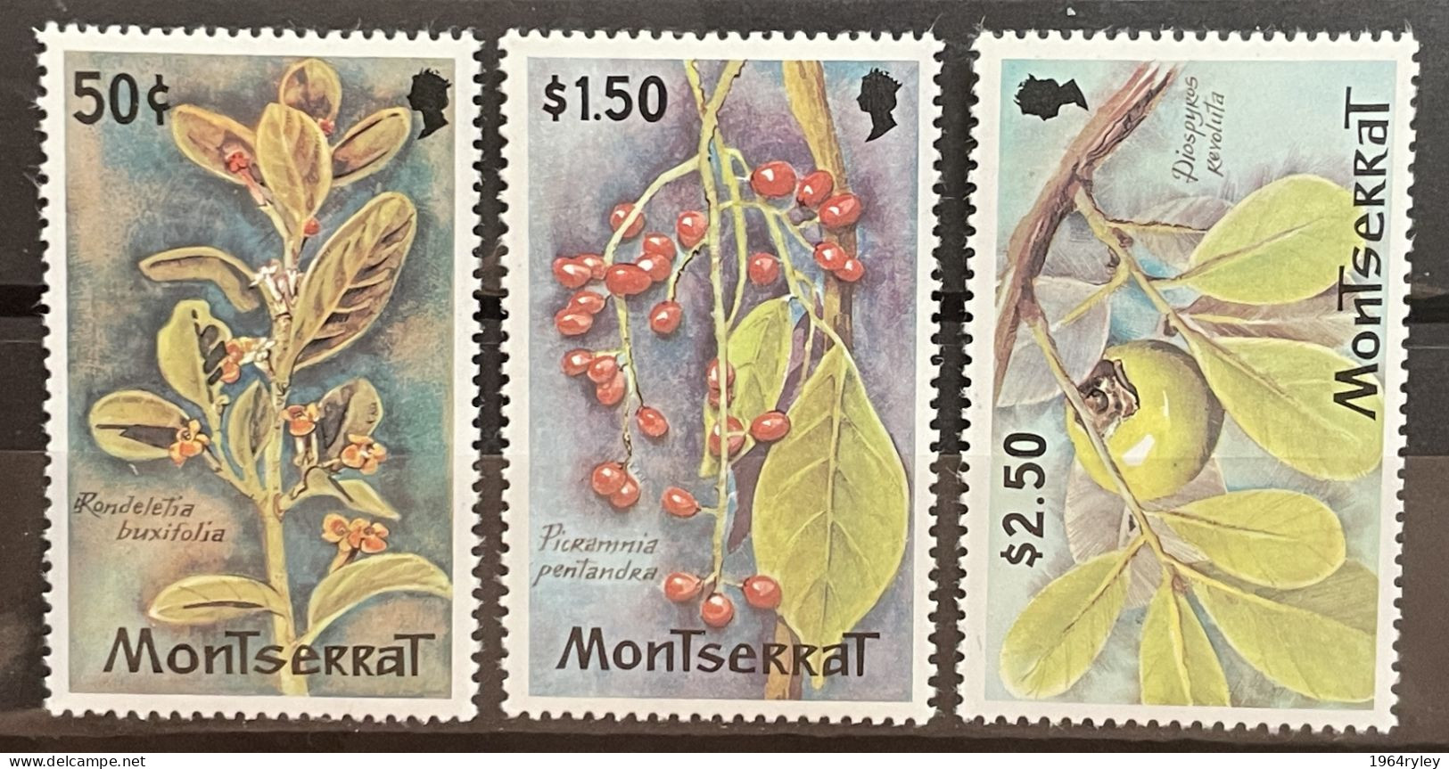 MONTSERRAT - MNH** - 1982  - # 480/483  3 STAMPS - Montserrat