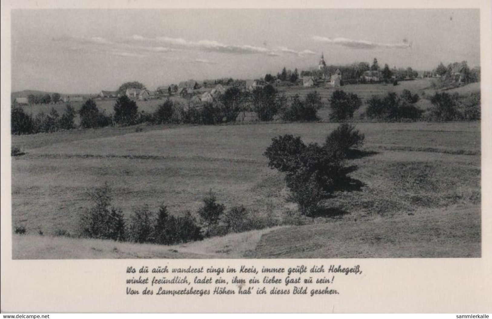 60112 - Hohegeiss - Blick Vom Lampertsberg - Ca. 1955 - Braunlage