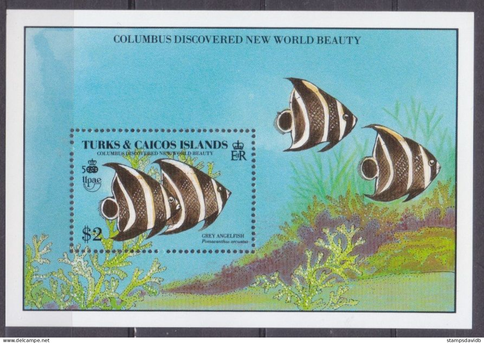 1990 Turks And Caicos Islands 928/B87 Marine Fauna 6,00 € - Marine Life