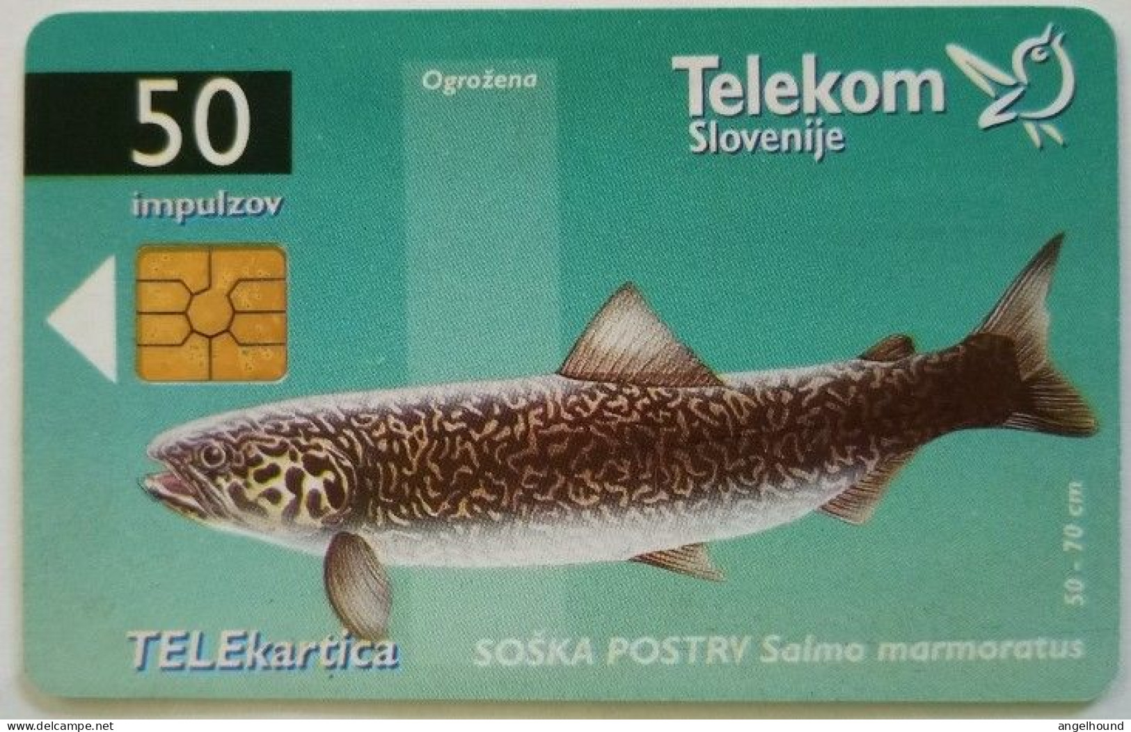 Slovenia 50 Unit Chip Card - Soska Postrv / Expo ' 98 - Slovénie