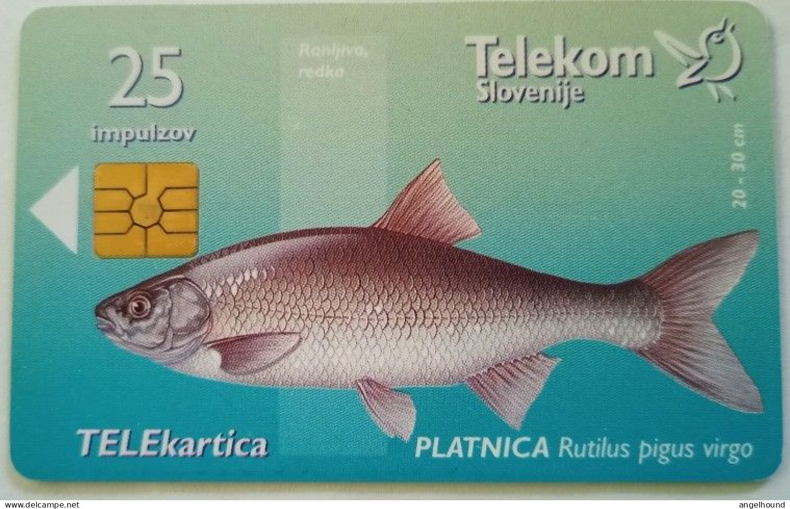 Slovenia 25 Unit Chip Card - Platnica / Krka Otocek - Slovenië