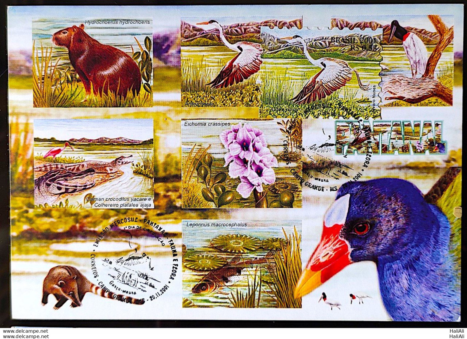 BRAZIL Maximmum Card 2001 Pantanal Fauna And Flora CBC MS Postcard - Other & Unclassified