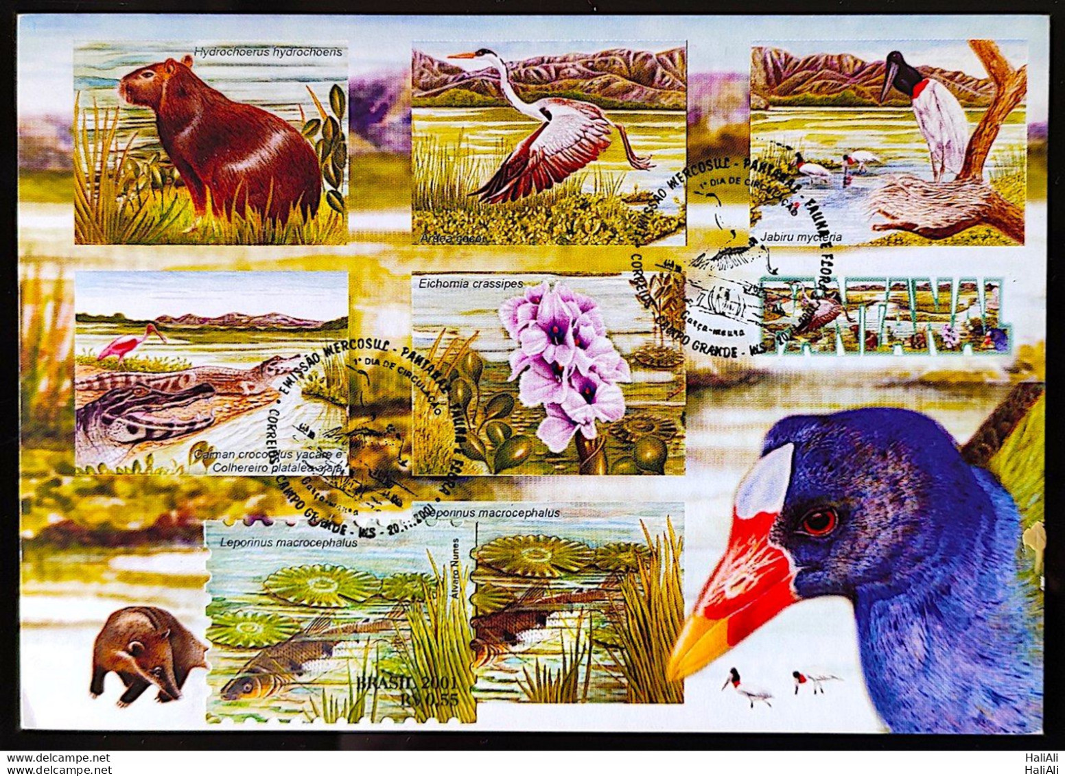 BRAZIL Maximmum Card 2001 Pantanal Fauna And Flora CBC MS Postcard - Other & Unclassified