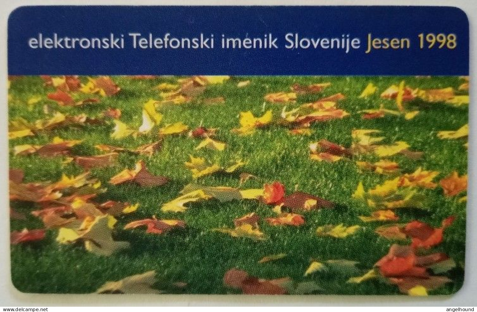 Slovenia 25 Unit Chip Card - Elektronski Telefonski Imenik Jesen ' 98 - Slovenia