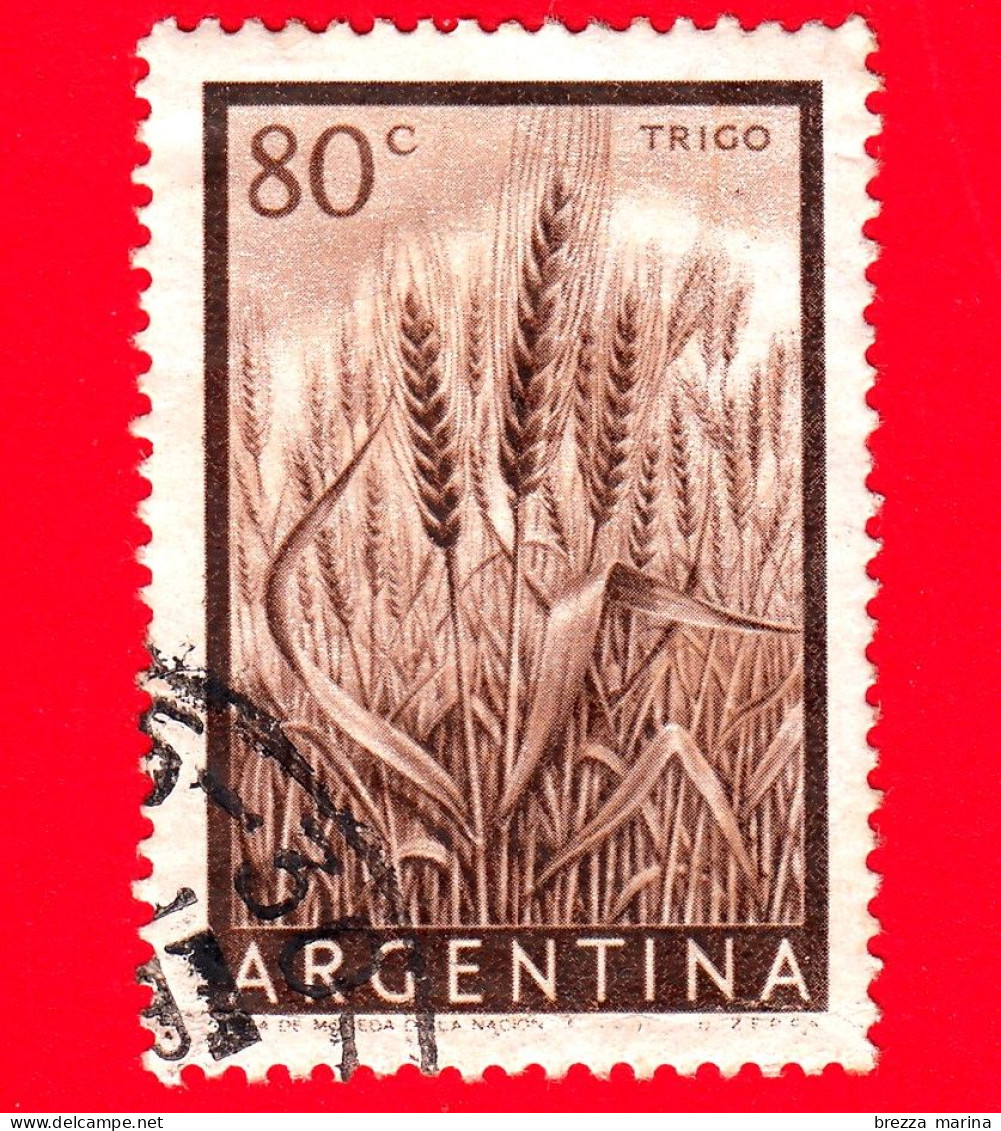 ARGENTINA - Usato - 1955 - Agricoltura - Grano - Wheat - 80 - Oblitérés