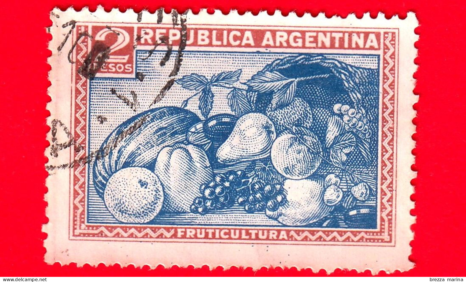 ARGENTINA - Usato - 1955 - Prodotti Del Paese - Frutta - 2 - Used Stamps