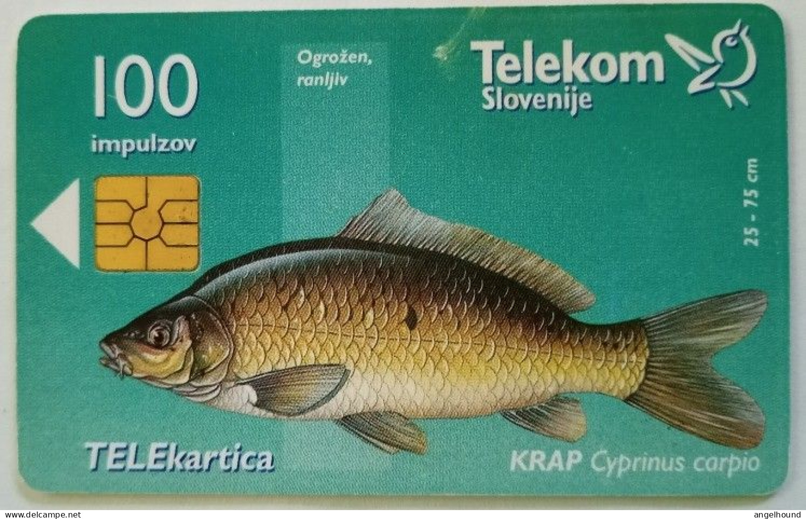 Slovenia 100 Unit Chip Card - Krap / Mura V Vasi Kot - Slovenia