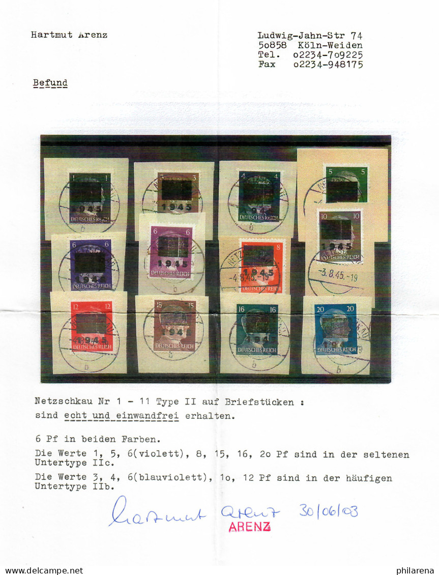 Netzschkau: MiNr., 1-11, Type II, Gestempelt Auf Briefstücken - Oblitérés