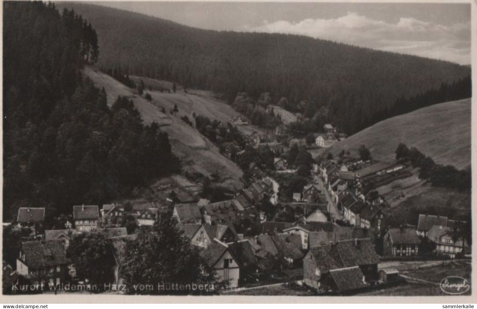 38093 - Wildemann - Vom Hüttenberg - Ca. 1950 - Wildemann