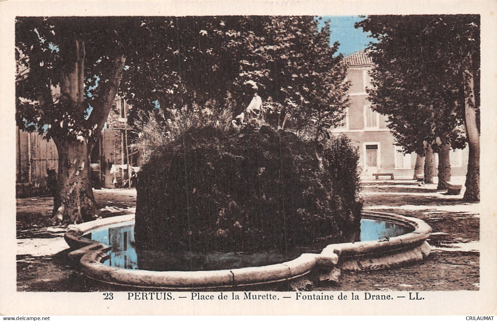 84-PERTUIS-N°T2971-C/0381 - Pertuis