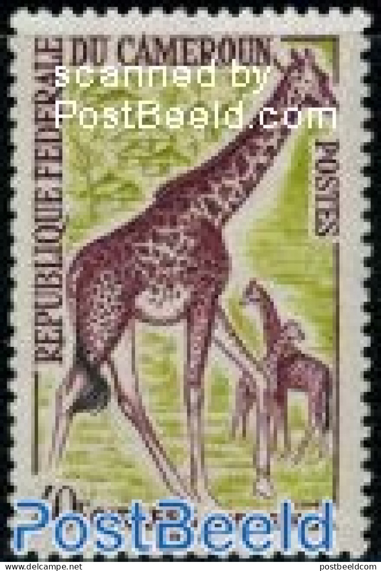 Cameroon 1962 Stamp Out Of Set, Mint NH, Nature - Animals (others & Mixed) - Kamerun (1960-...)