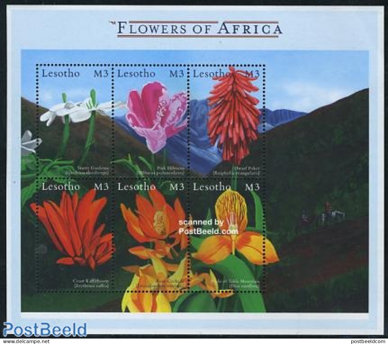 Lesotho 2000 African Flowers 6v M/s, Mint NH, Nature - Flowers & Plants - Lesotho (1966-...)