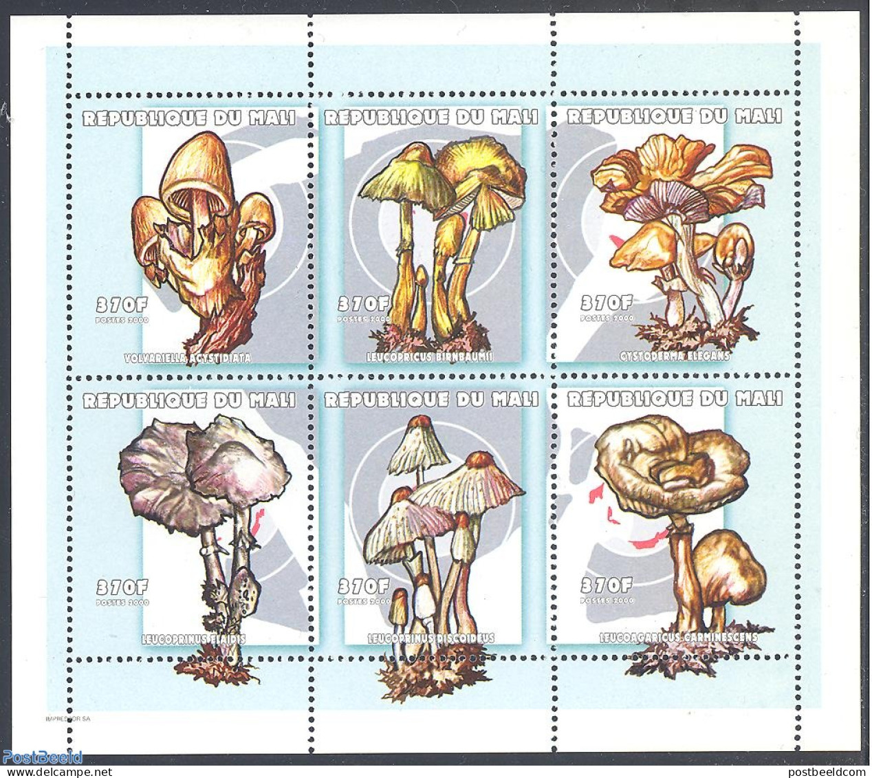 Mali 2000 Mushrooms 6v M/s, Mint NH, Nature - Mushrooms - Champignons