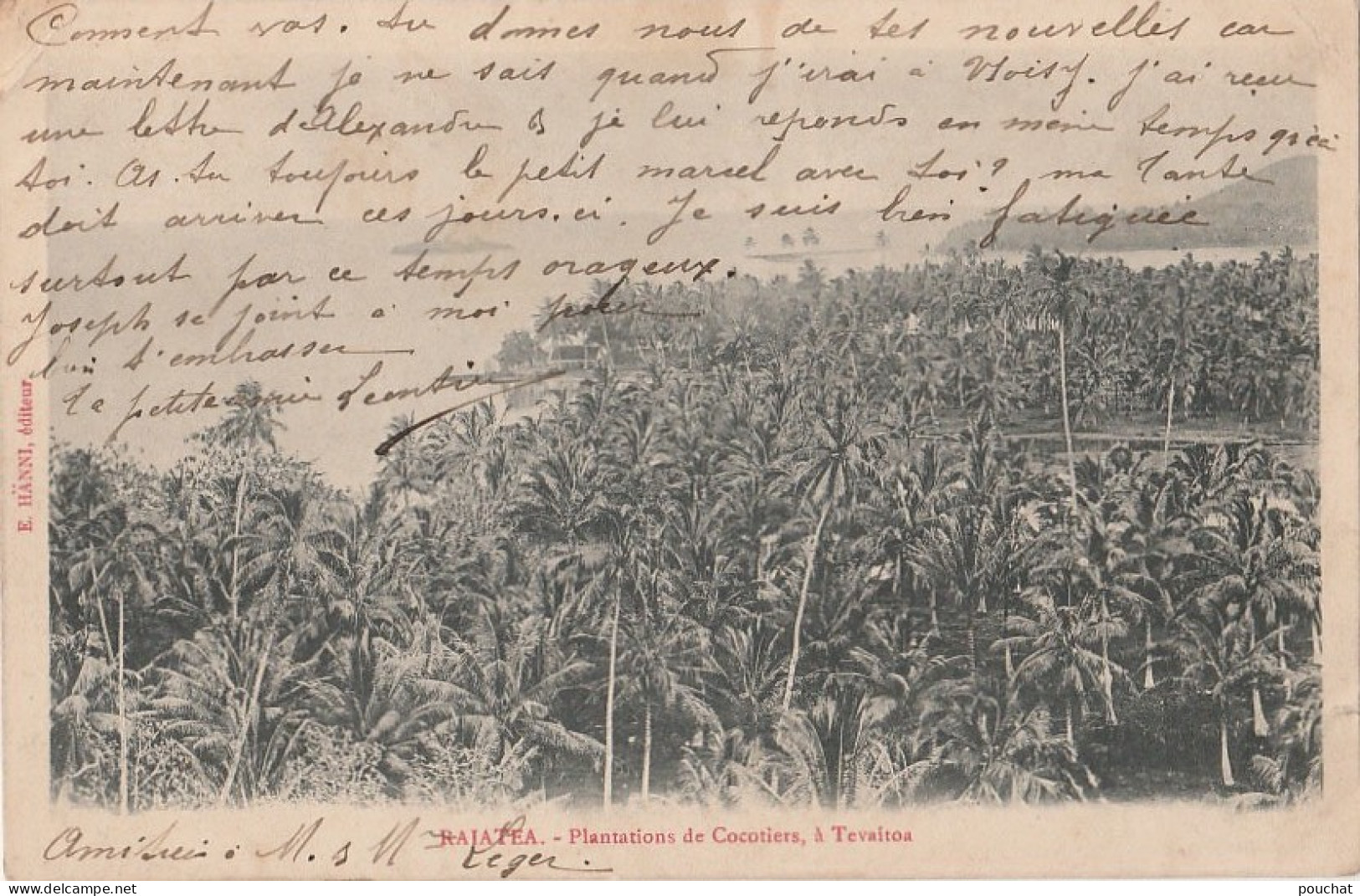POLYNESIE FRANCAISE - RAIATEA - PLANTATIONS DE COCOTIERS  A TEVAITOA - (EDITEUR  E. HANNI - OBLITERATION  1905 - 2 SCANS - Polinesia Francese