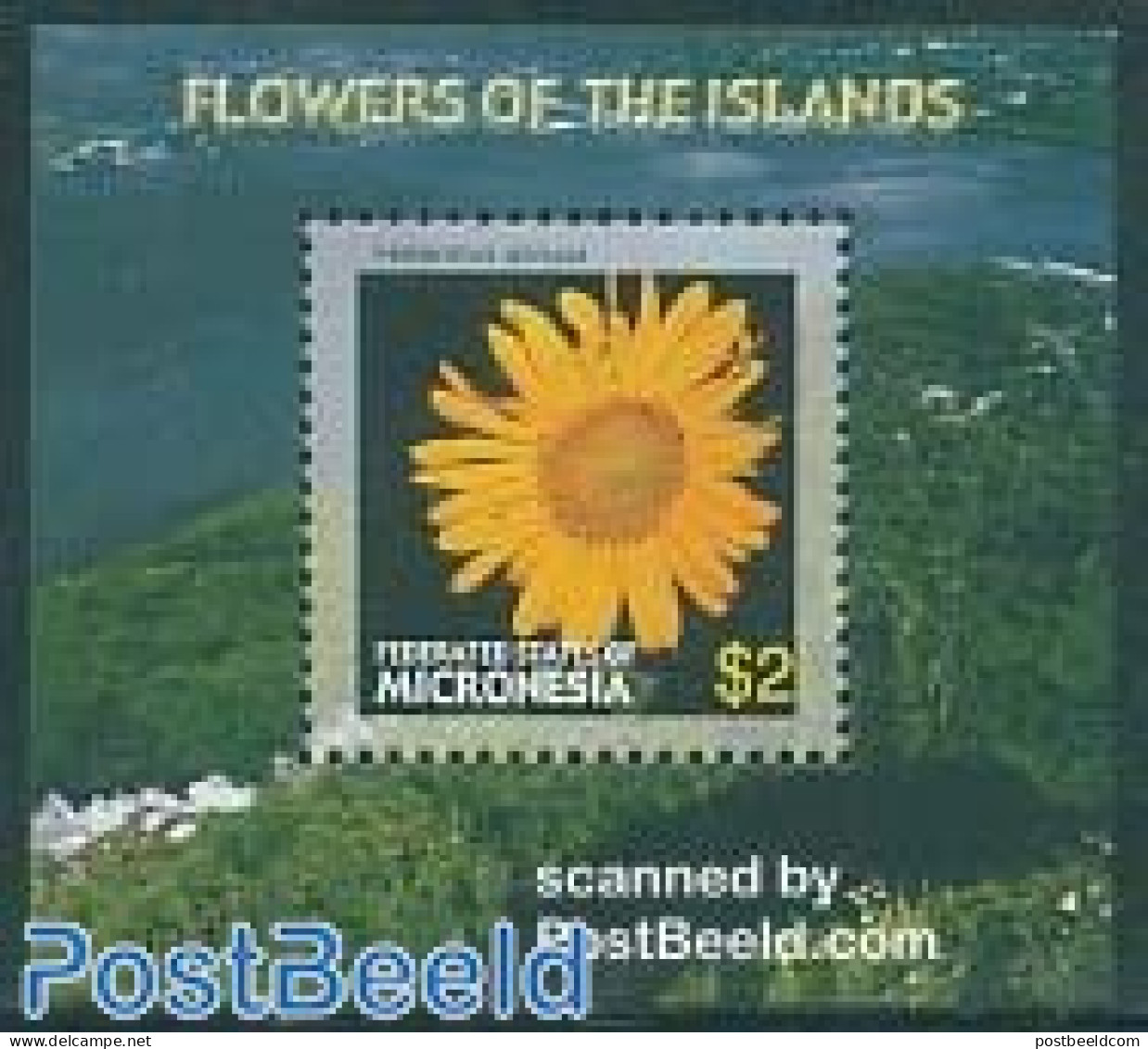 Micronesia 2006 Flowers S/s, Mint NH, Nature - Flowers & Plants - Micronesia