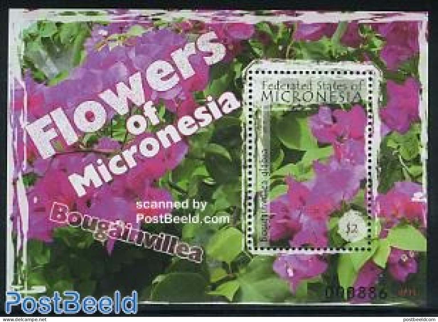 Micronesia 2007 Flowers S/s, Mint NH, Nature - Flowers & Plants - Micronesië