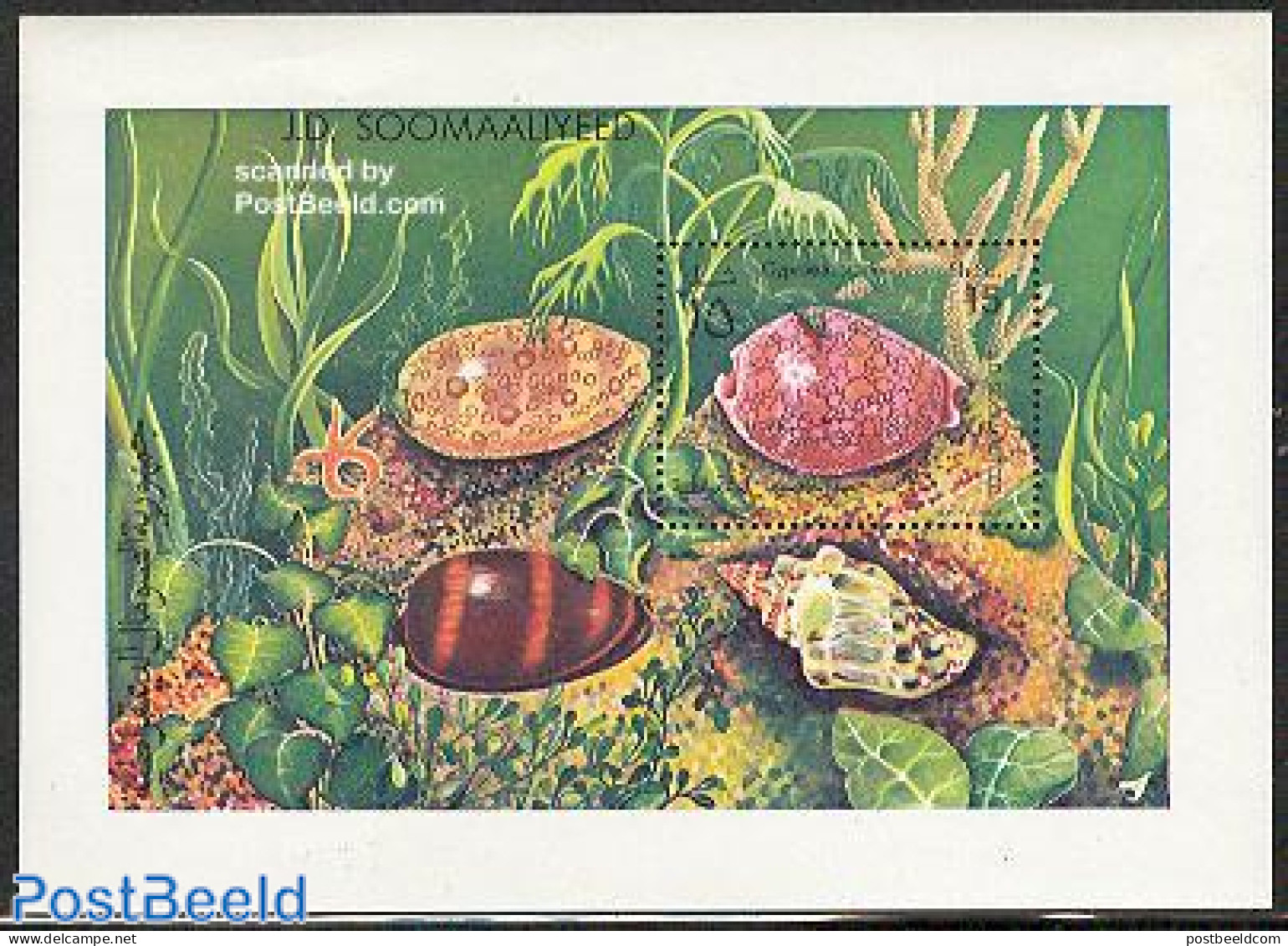 Somalia 1984 Shells S/s, Mint NH, Nature - Shells & Crustaceans - Vie Marine