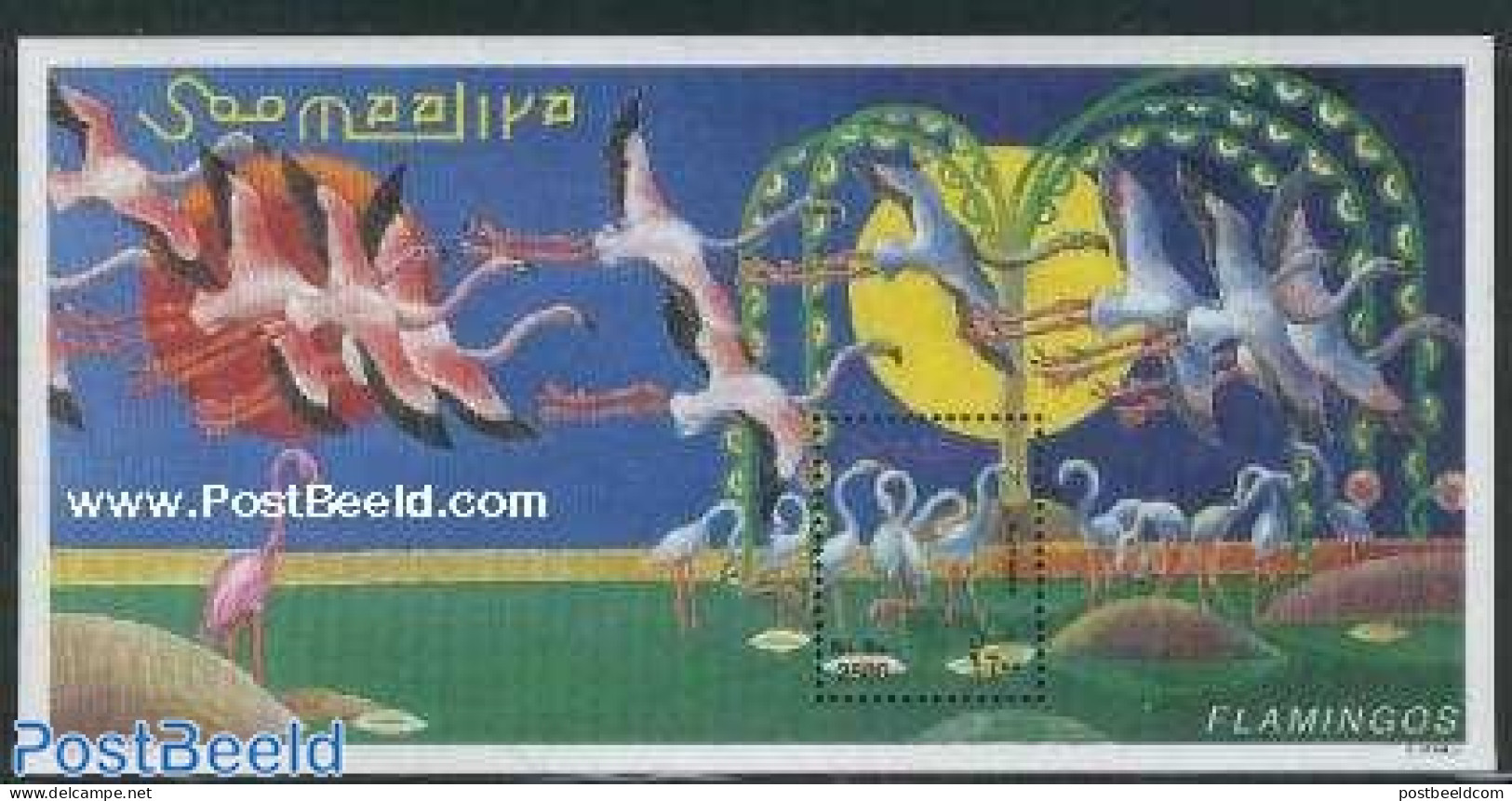 Somalia 1998 Flamingo S/s, Mint NH, Nature - Birds - Somalia (1960-...)