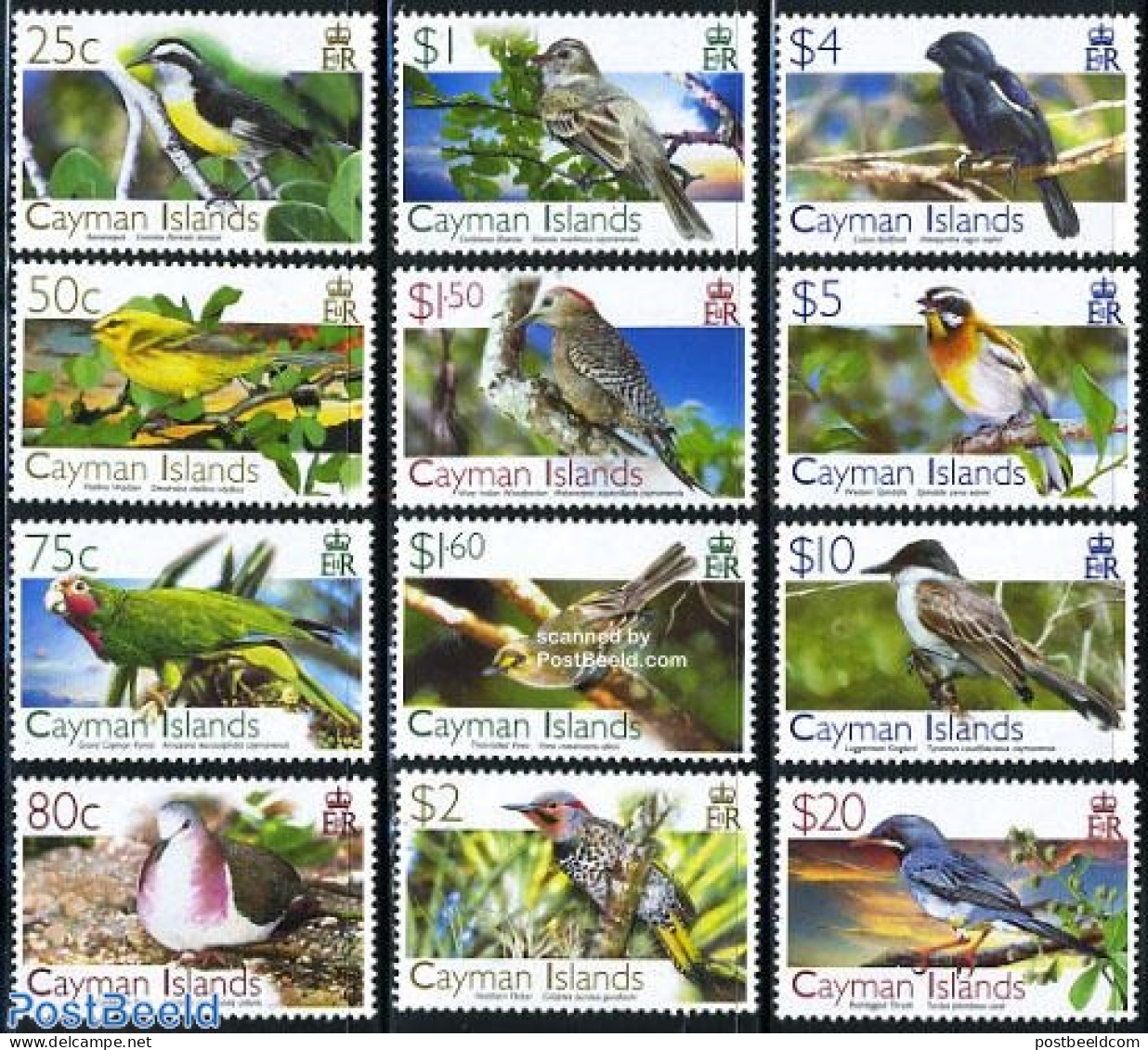 Cayman Islands 2006 Definitives, Birds 12v, Mint NH, Nature - Birds - Parrots - Iles Caïmans