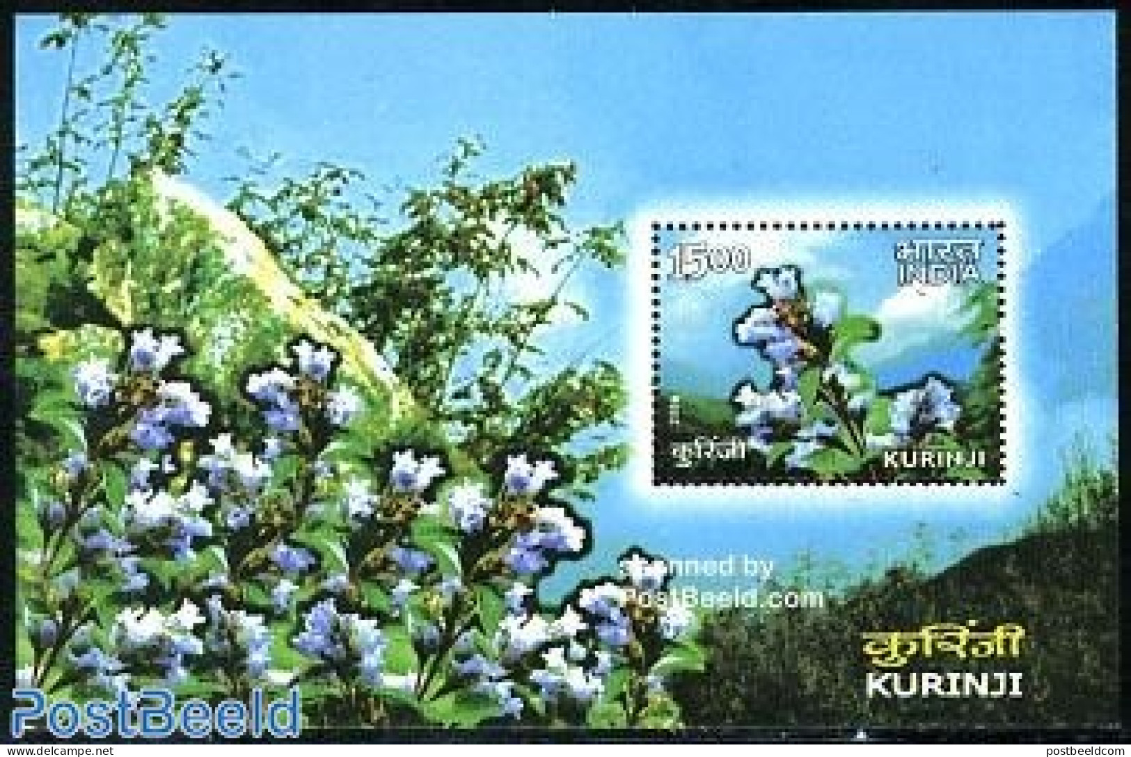 India 2006 Flower, Kurinji S/s, Mint NH, Nature - Flowers & Plants - Ungebraucht