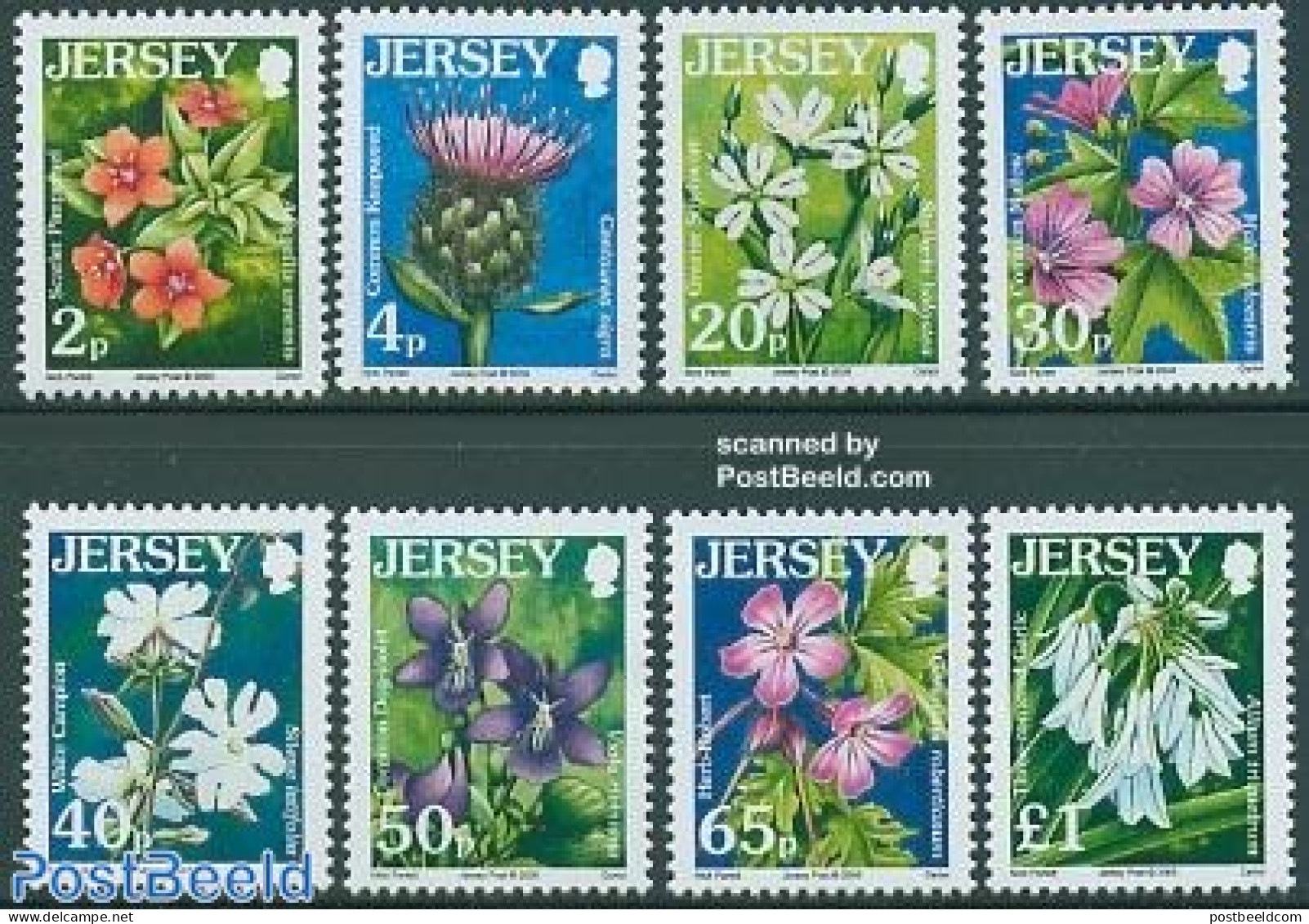 Jersey 2005 Definitives, Flowers 8v, Mint NH, Nature - Flowers & Plants - Jersey