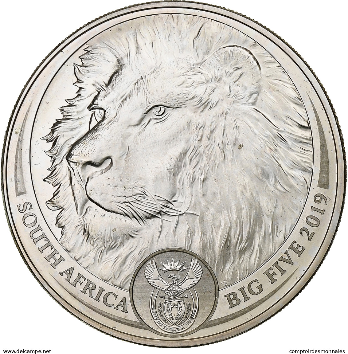 Afrique Du Sud, 5 Rand, Le Lion, 2019, South Africa Mint, 1 Oz, Argent, FDC - Sudáfrica