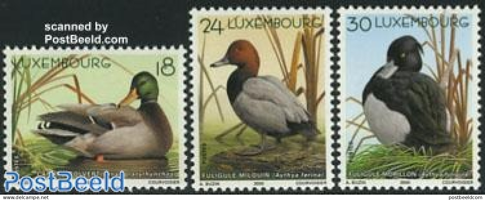 Luxemburg 2000 Ducks 3v, Mint NH, Nature - Birds - Ducks - Nuevos