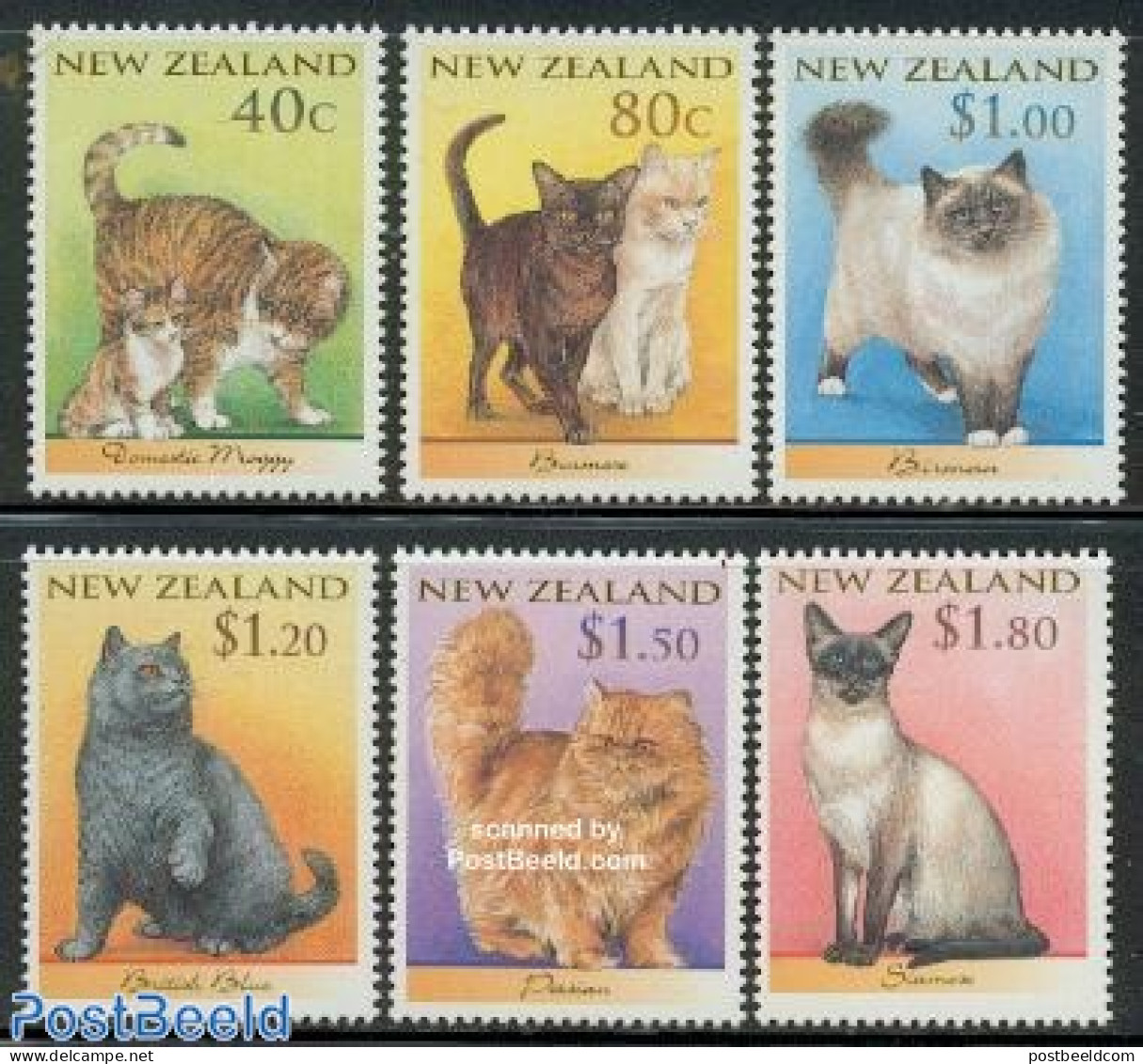 New Zealand 1998 Cats 6v, Mint NH, Nature - Cats - Nuevos