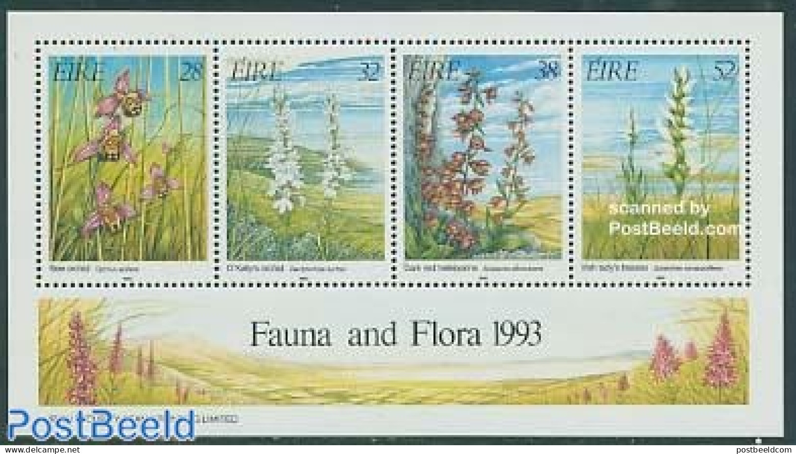 Ireland 1993 Wild Orchids S/s, Mint NH, Nature - Flowers & Plants - Orchids - Nuovi