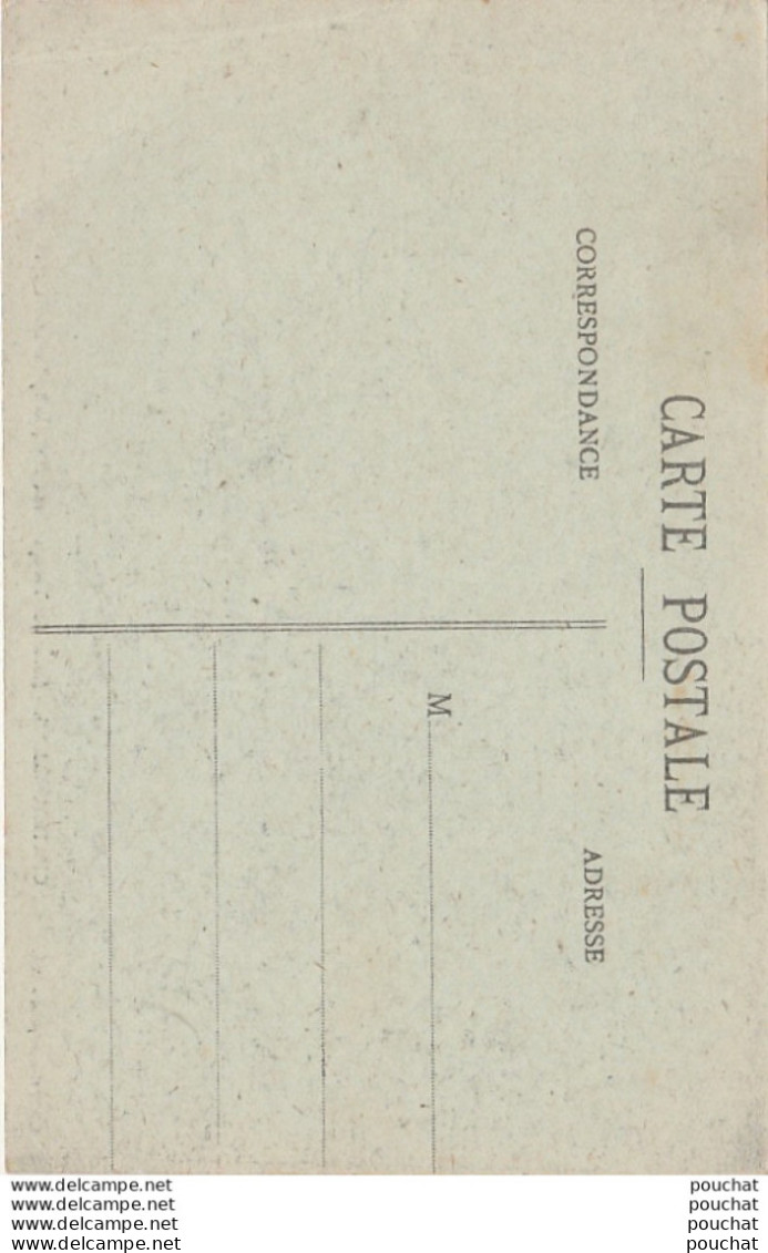 W8-54) CHATEAU SALINS (MOSELLE)  ENTREE DU LIEUTENANT COLONEL ROLLET LE 17 NOVEMBRE 1918 - (2 SCANS) - Chateau Salins