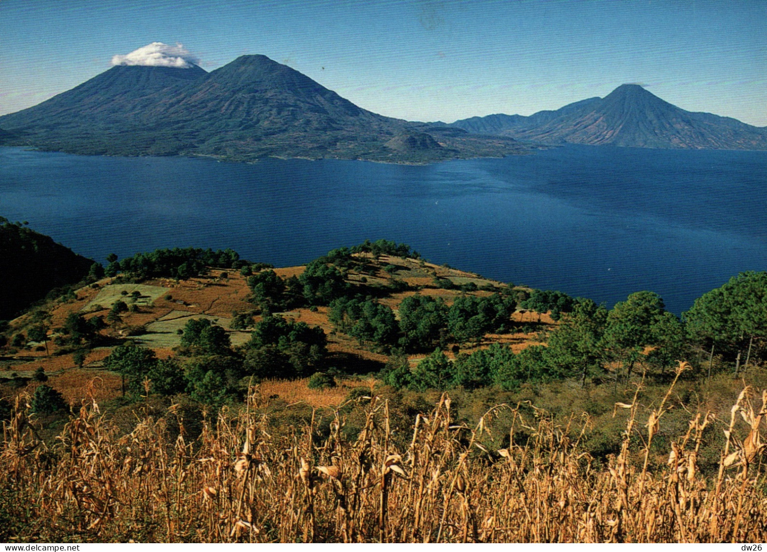 Guatemala: Vista Panoramica Del Lago De Atitlan (Panorama Du Lac) Foto Antonio Turok - Carte De 1990 - Guatemala