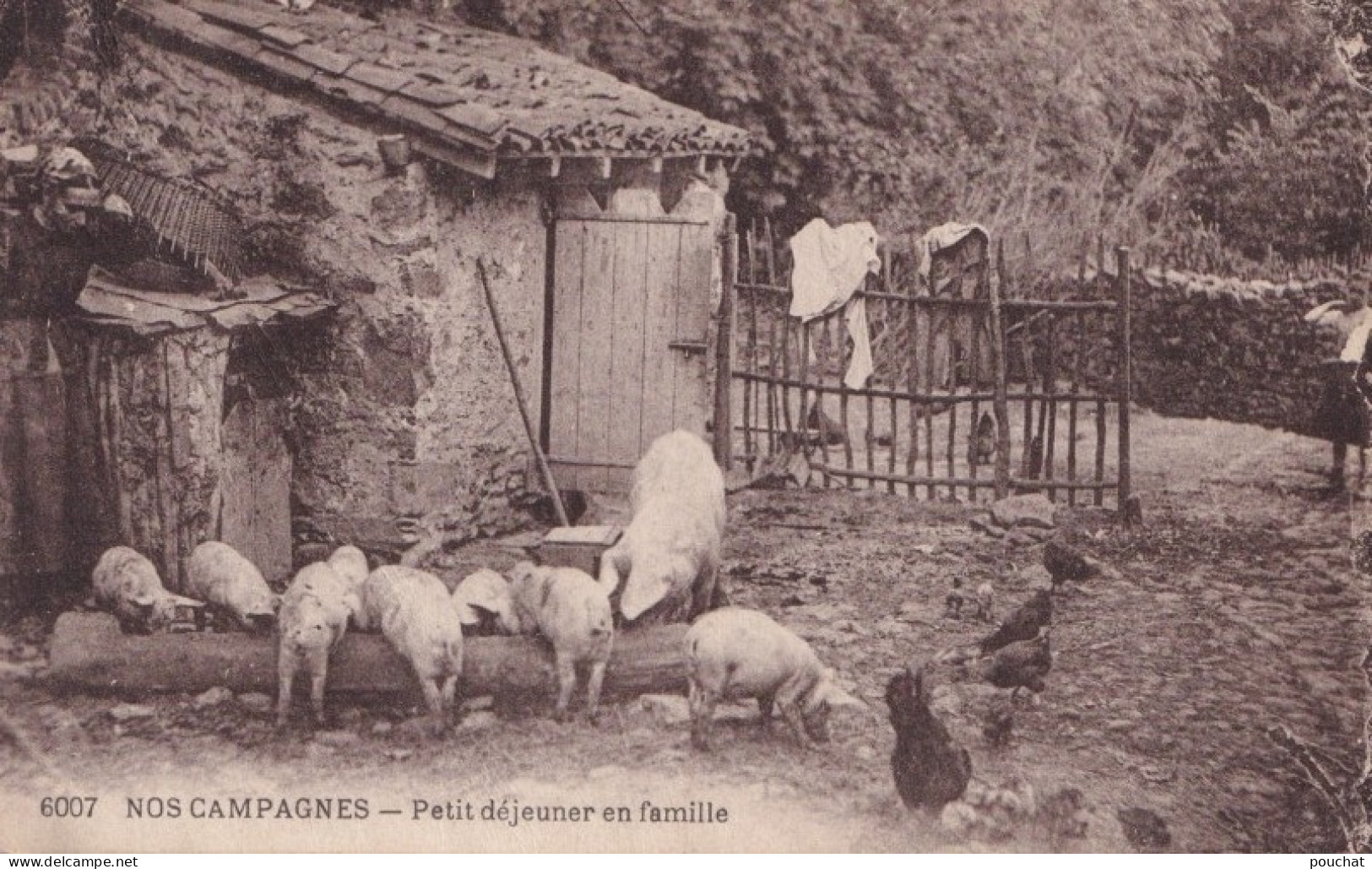 Y7- AGRICULTURE - NOS CAMPAGNES - PETIT DEJEUNER EN FAMILLE - FERME - COCHONS - VOLAILLES  - ( 2 SCANS ) - Farms