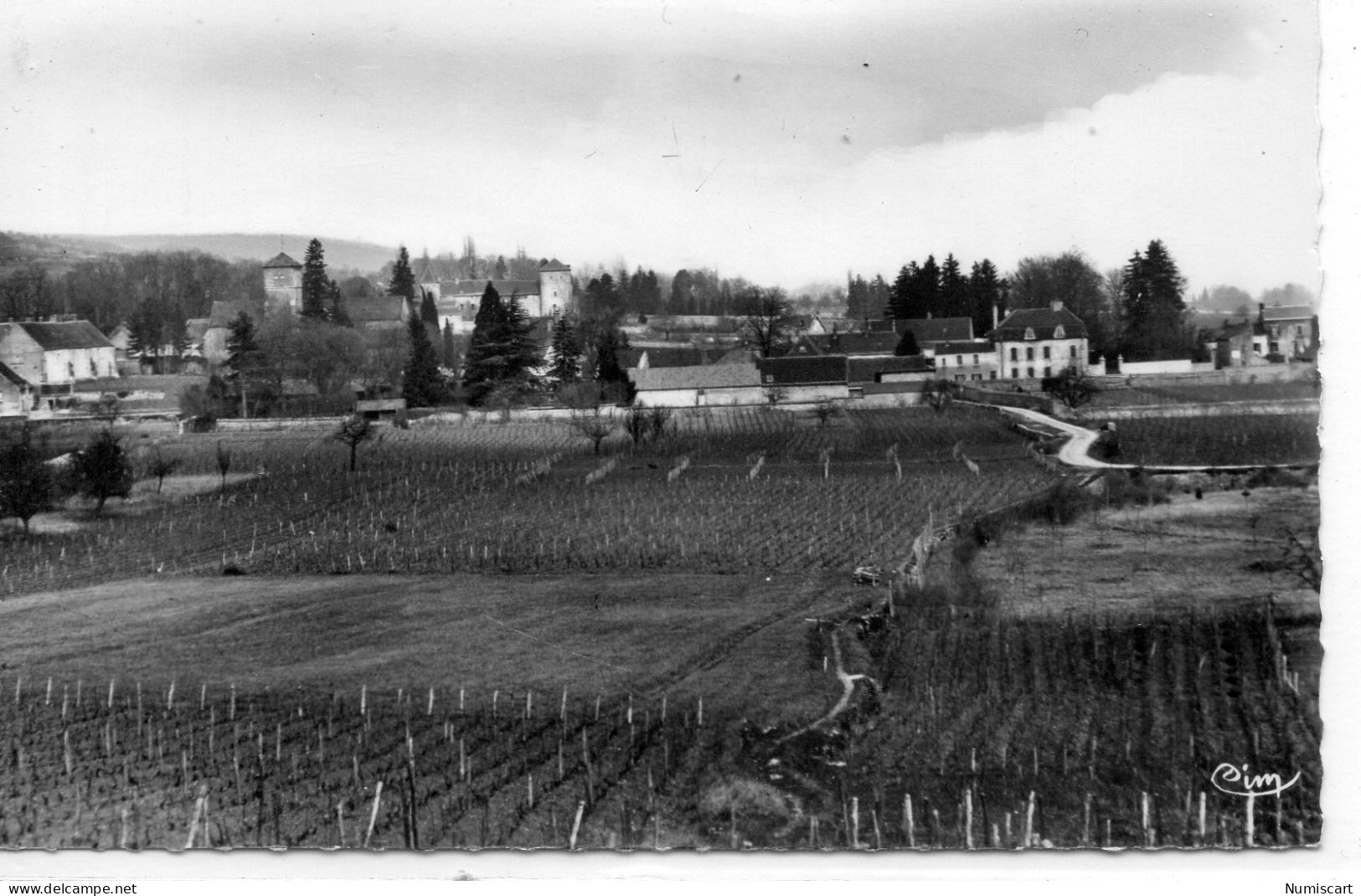 Gevrey-Chambertin Belle Vue Du Village Vignobles Vignes Vins De Bourgogne - Gevrey Chambertin